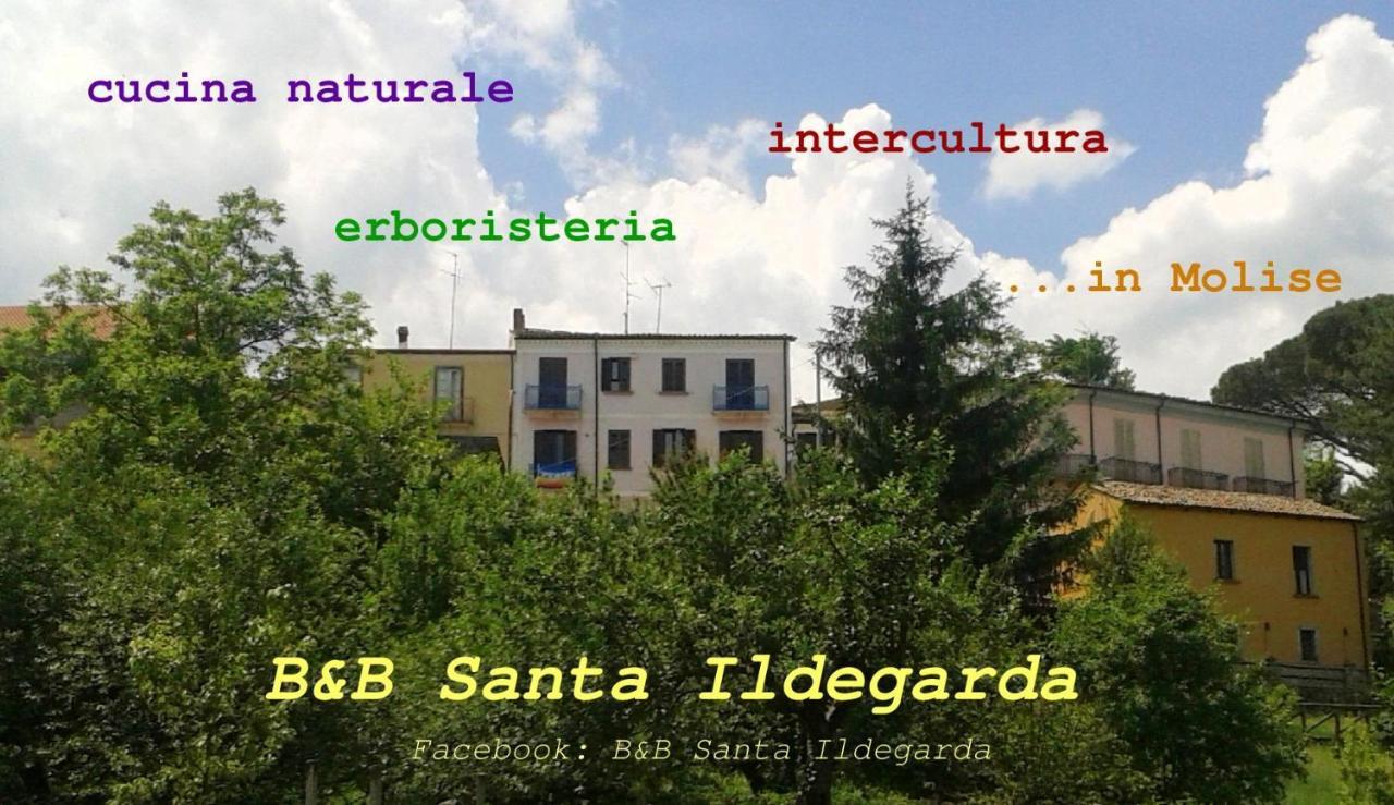 B&B Santa Ildegarda Cantalupo nel Sannio Pokój zdjęcie
